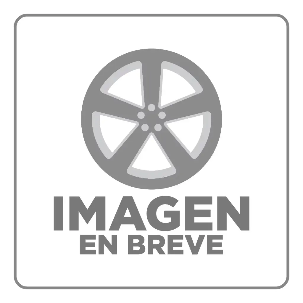 RIN 20X10 5-127 R1 SPORT 5Q08 FULL BRUSH ET-19 CB87.1